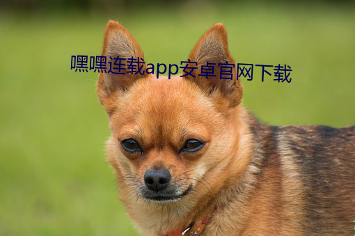嘿(嘿)嘿连(連)载app安(安)卓(卓)官(官)网下载