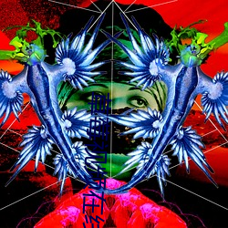 草莓视频(頻)在线(線)观(觀)看(看)无码(碼)免费