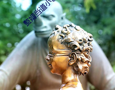 赘(贅)婿当道(道)小(小)说
