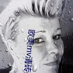 欧美mv清砖码区免费