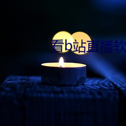 看b站直播軟件推薦夜月直