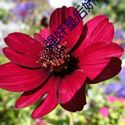 强奷皇后娇呻(shēn)浪(làng)吟(yín)前(qián)后夹击(jī)