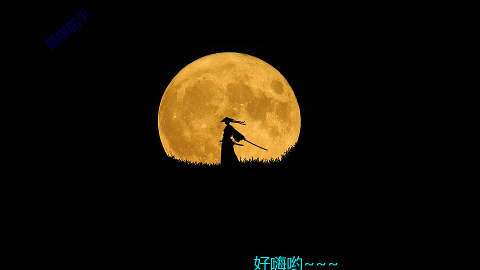 星媒舵手(shǒu)