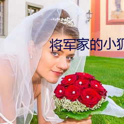 将军家的小狐仙电视剧免费
