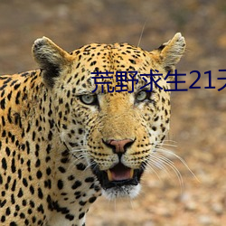 荒野求生21天真人秀