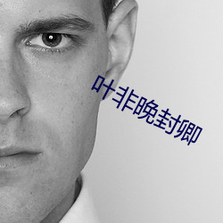 叶非晚封卿 （亮儿）
