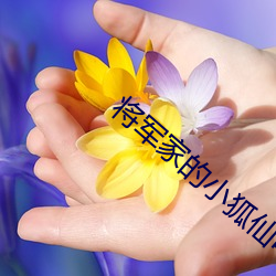 将军家的小狐(hú)仙电视剧免费
