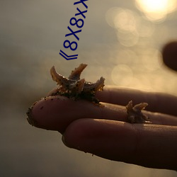《8x8xx海外華人永久》免費高清資源