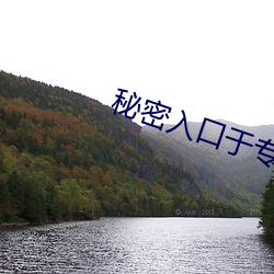秘密入(rù)口于专属(shǔ)秘密网站
