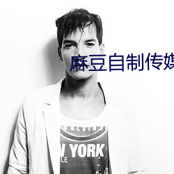 麻豆自制传媒国产之光