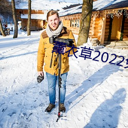 薰衣草2022免费入口