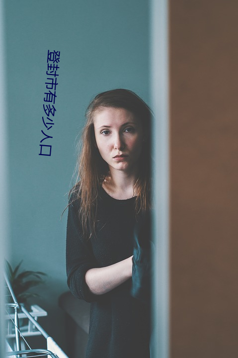 登封市有多少人口