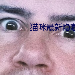 貓咪最新隱藏網站2022