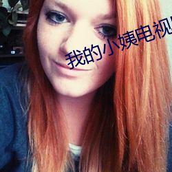 我的小姨电视剧免费观看