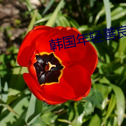 韩国(國)年轻善(善)良(良)的(的)锼(锼)子(子)6