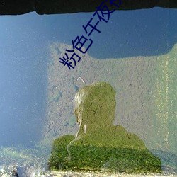 粉色午夜視頻
