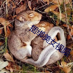 捆绑美女(女)视频