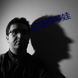 宫墙柳梦娃