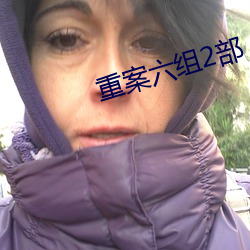 重案六組2部