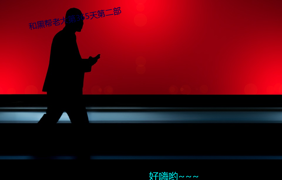 和黑幫老大第365天第二部