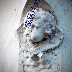 成品片a免(miǎn)费(fèi)人(rén)口