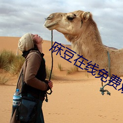 庥豆在线免费观影