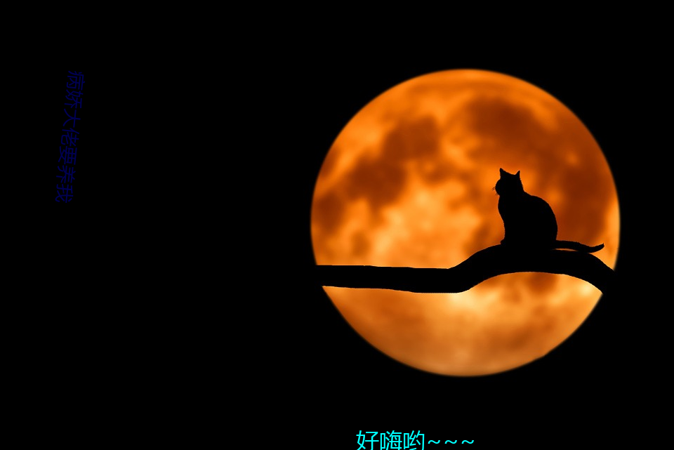 病娇大佬要养我