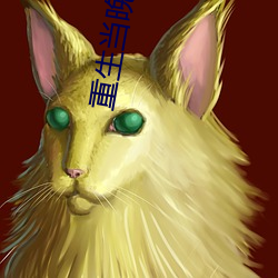 重生当晚就和军长圆了房